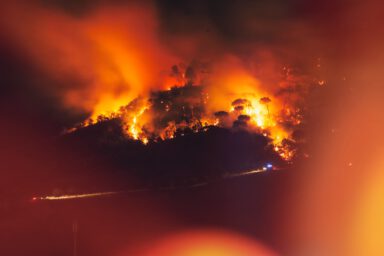 klimakollaps, waldbrand