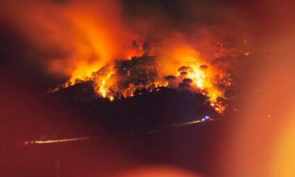 klimakollaps, waldbrand