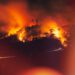klimakollaps, waldbrand