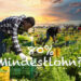 mindestlohn
